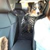 Dog Car Net Petition